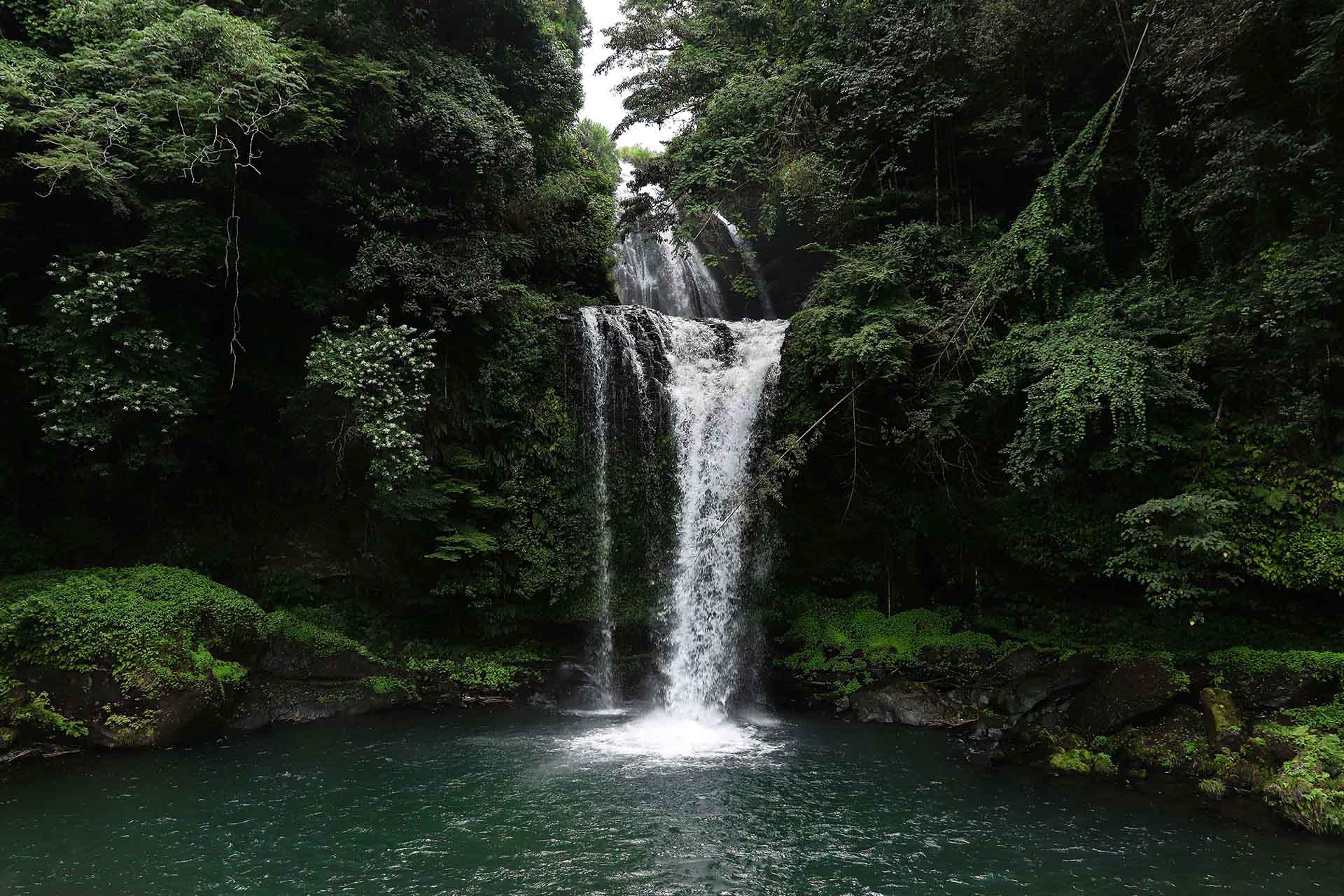 envigorating waterfall in a lush green forest.